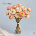 huaongy™ Apricot Paper Dried Strawflower Bouquet — 15 Real Flower Stems, Peach & Cream Botanical Bunch for Vase Styling