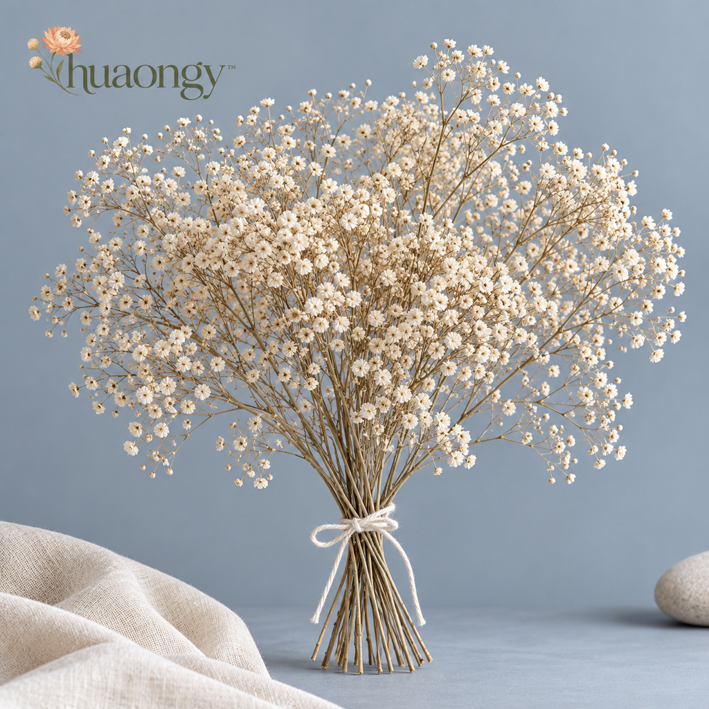 huaongy™ Porcelain Cloud Dried Baby’s Breath Bouquet — 10 Real Gypsophila Sprays, Natural Off-White Flowers for Vase Styling