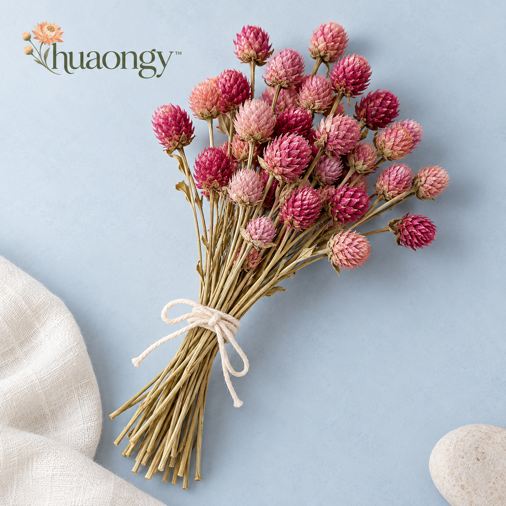 huaongy™ Berry Button Dried Globe Amaranth Bouquet — 25 Real Pink & Raspberry Gomphrena Stems for Small Vase Arrangements