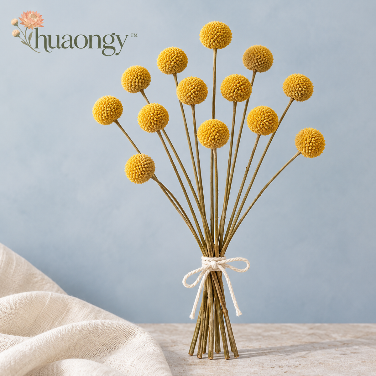 huaongy™ Golden Punctuation Dried Billy Button Flowers — 12 Real Yellow Craspedia Stems for Bud Vases & Modern Floral Arrangements