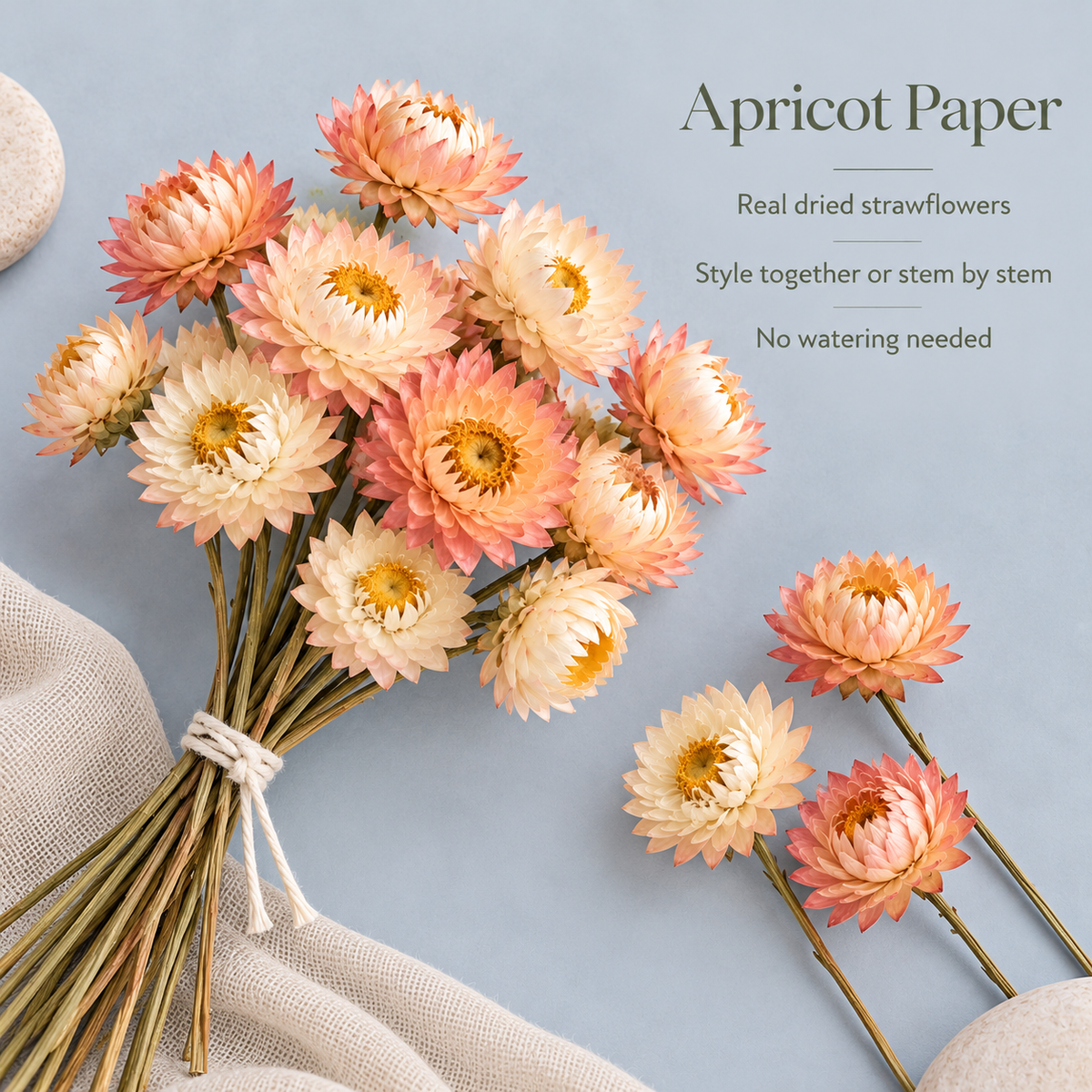 huaongy™ Apricot Paper Dried Strawflower Bouquet — 15 Real Flower Stems, Peach & Cream Botanical Bunch for Vase Styling