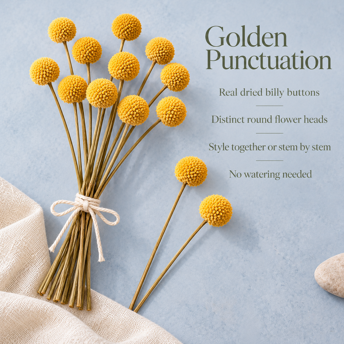 huaongy™ Golden Punctuation Dried Billy Button Flowers — 12 Real Yellow Craspedia Stems for Bud Vases & Modern Floral Arrangements