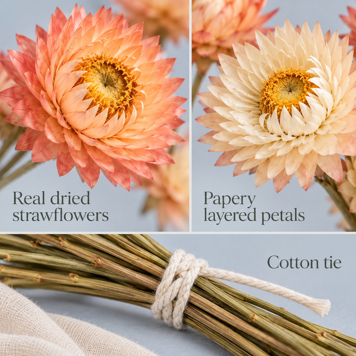 huaongy™ Apricot Paper Dried Strawflower Bouquet — 15 Real Flower Stems, Peach & Cream Botanical Bunch for Vase Styling