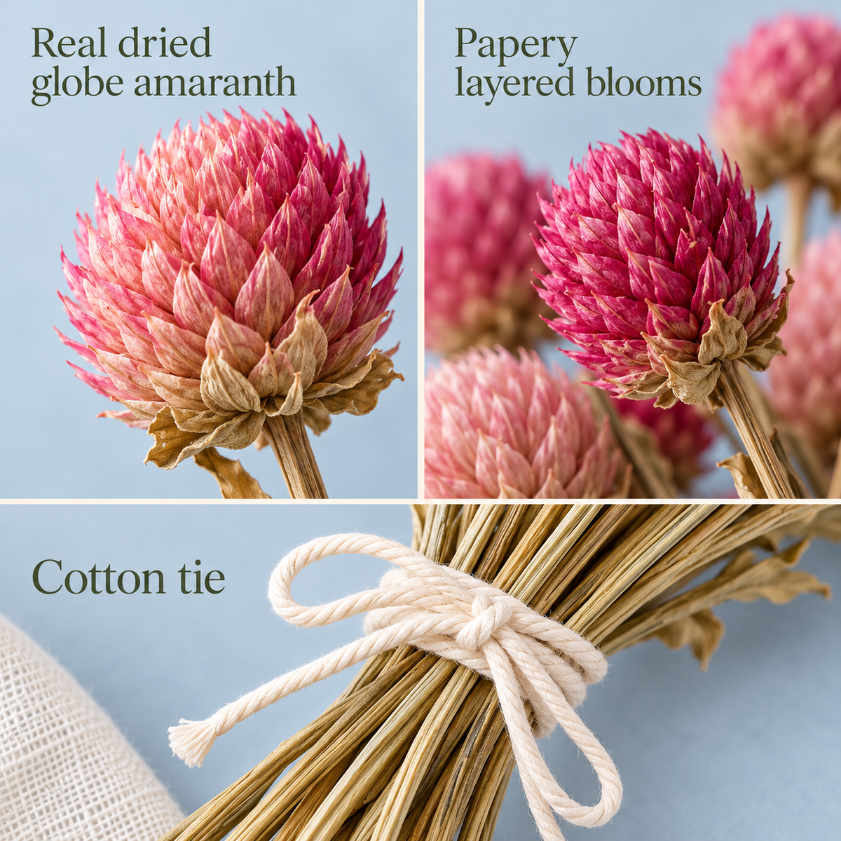 huaongy™ Berry Button Dried Globe Amaranth Bouquet — 25 Real Pink & Raspberry Gomphrena Stems for Small Vase Arrangements