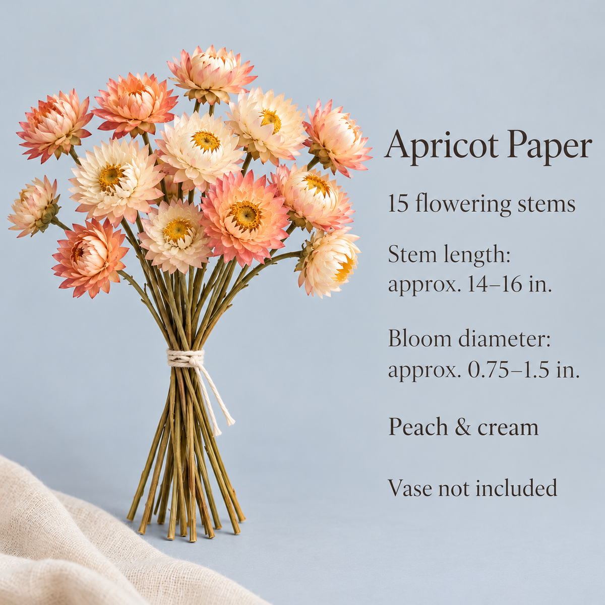 huaongy™ Apricot Paper Dried Strawflower Bouquet — 15 Real Flower Stems, Peach & Cream Botanical Bunch for Vase Styling