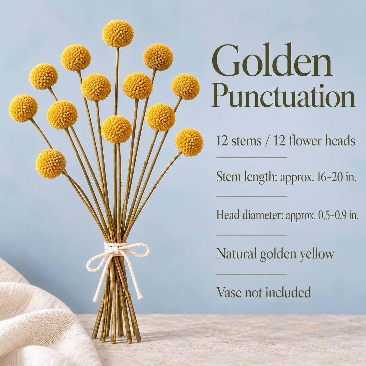 huaongy™ Golden Punctuation Dried Billy Button Flowers — 12 Real Yellow Craspedia Stems for Bud Vases & Modern Floral Arrangements